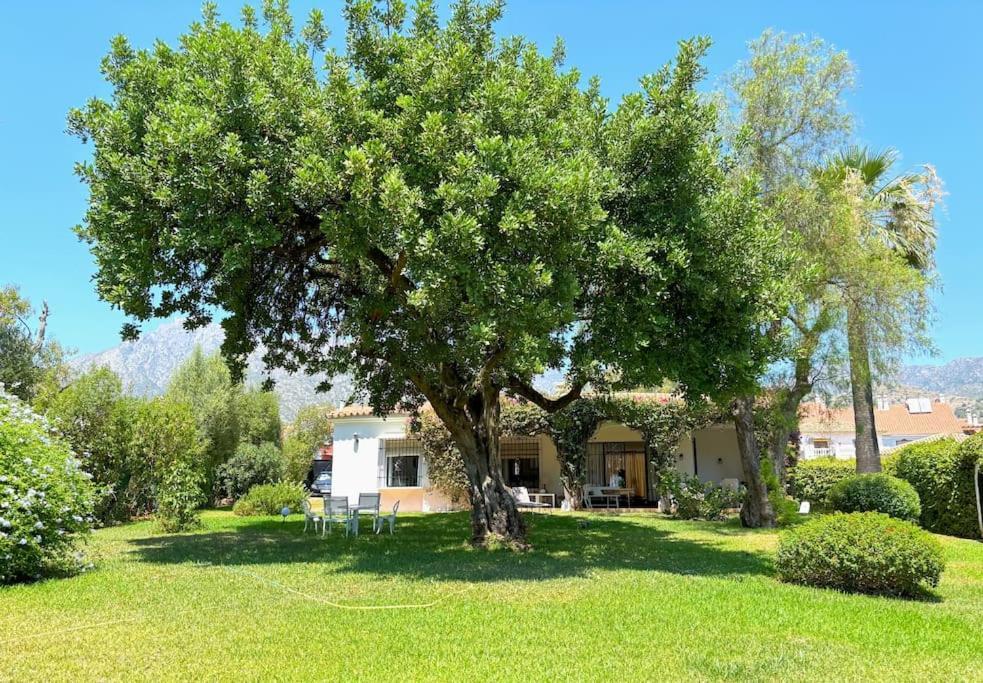 Relax - Jardin Inmenso & Privado En Сasa de vacaciones *